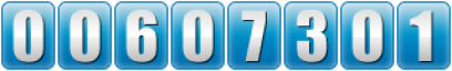 website hit counter